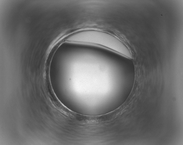 X0000080100344200612080935