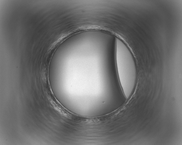 X0000080100345200612080935