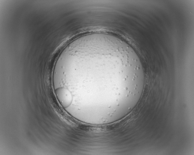 X0000080100347200612080935