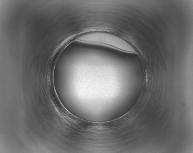 X0000080100348200612080935