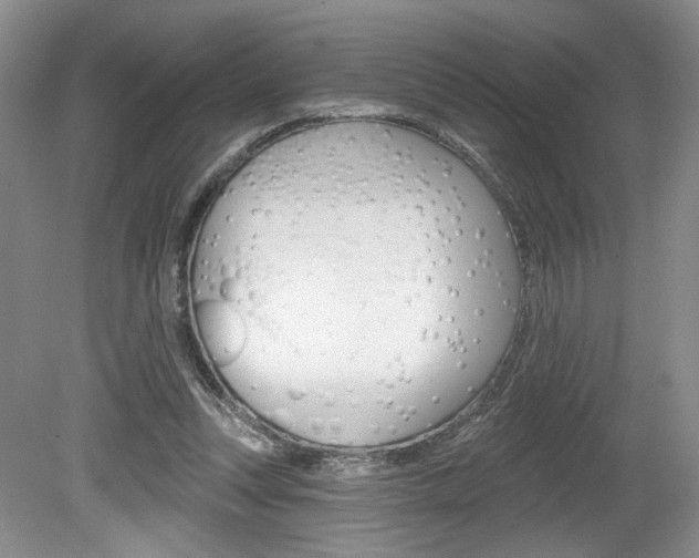 X0000080100351200612080935