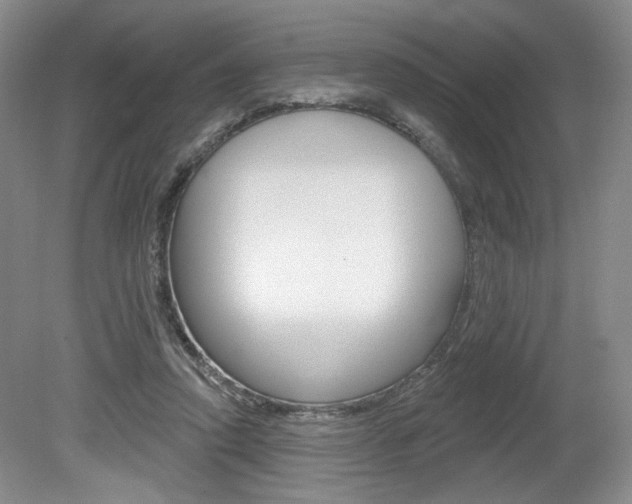 X0000080100354200612080935