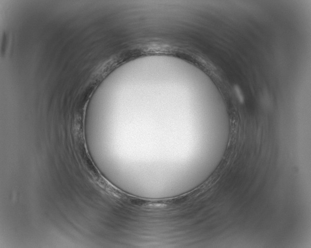 X0000080100361200612080935