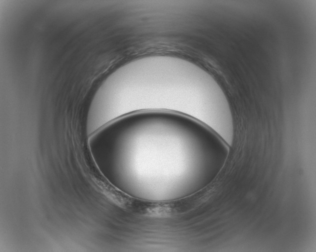 X0000080100362200612080935
