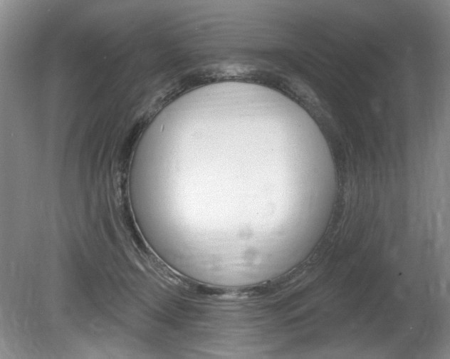 X0000080100366200612080935