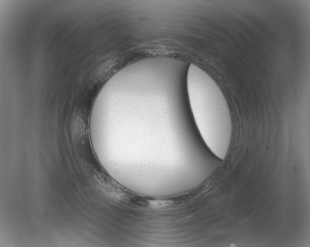 X0000080100371200612080935