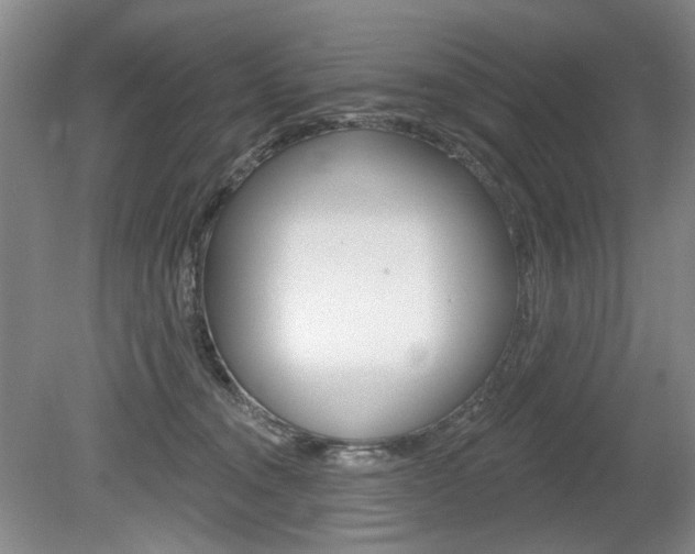 X0000080100372200612080935
