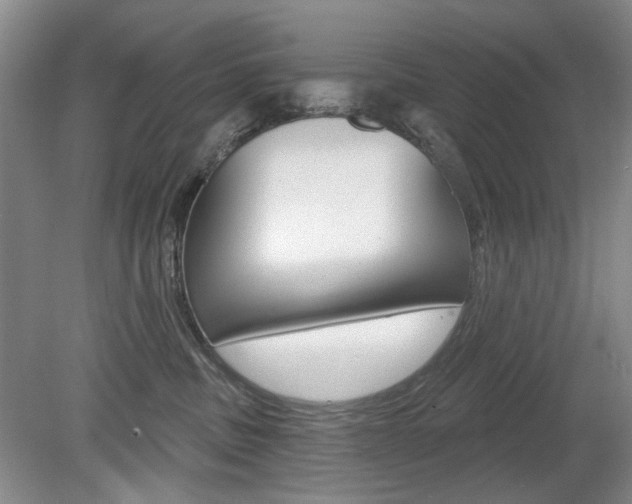 X0000080100379200612080936