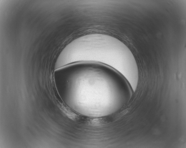 X0000080100382200612080936