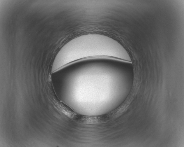 X0000080100384200612080936