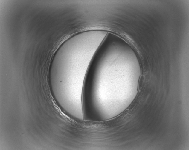 X0000080100385200612080935