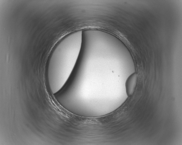 X0000080100386200612080935