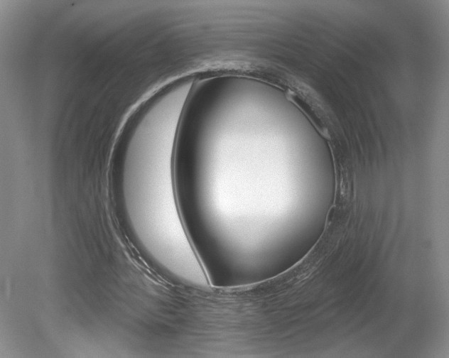 X0000080100388200612080935