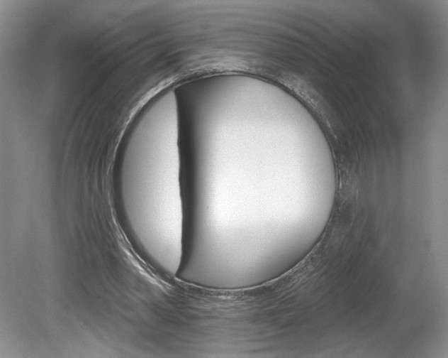 X0000080100390200612080935