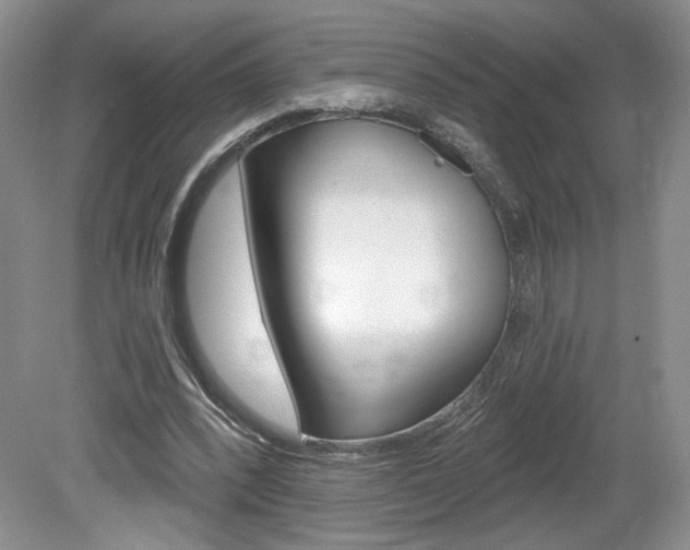 X0000080100392200612080935