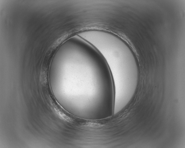 X0000080100393200612080935