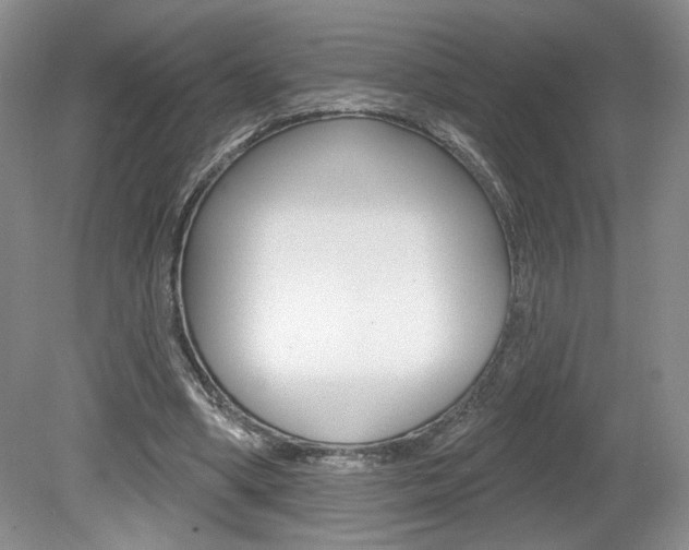 X0000080100394200612080935
