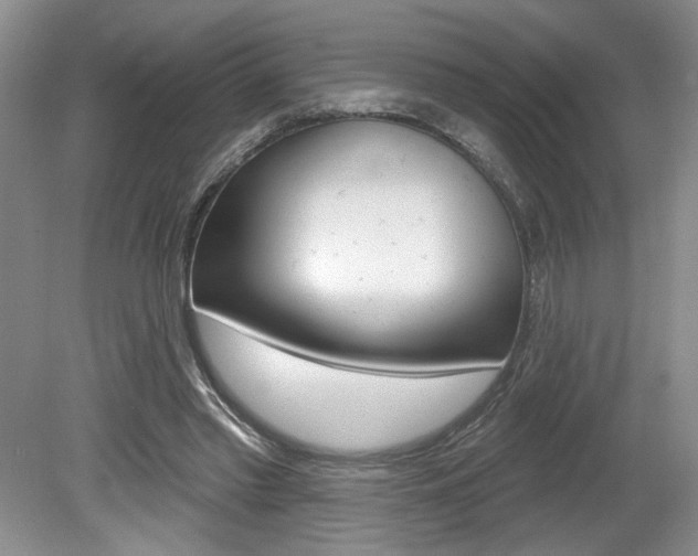 X0000080100397200612080935