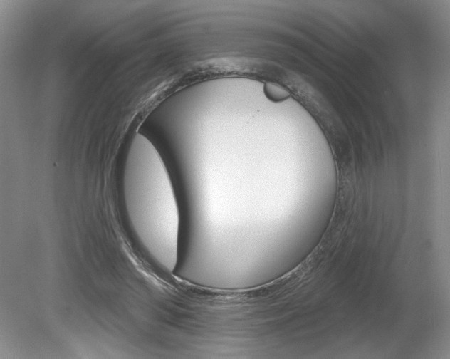 X0000080100398200612080935