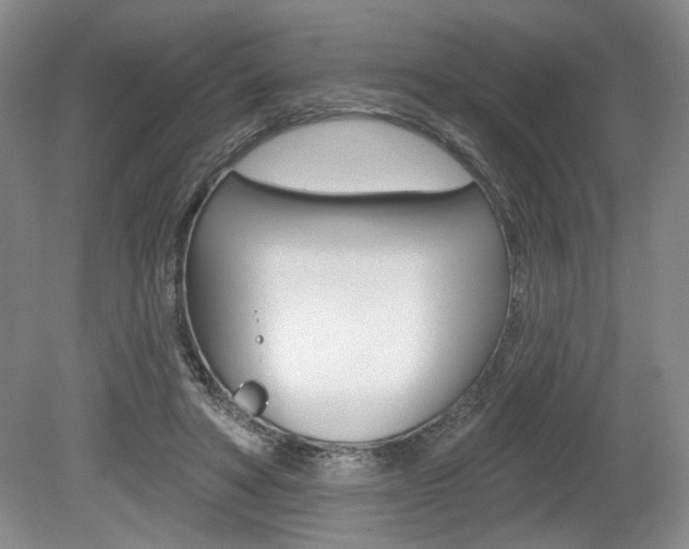 X0000080100402200612080935