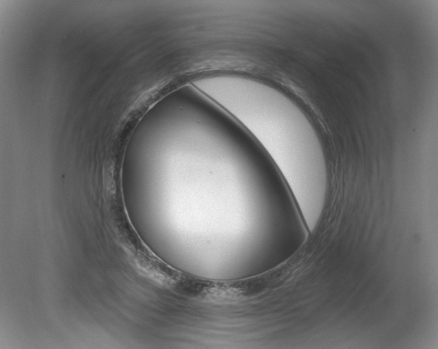 X0000080100403200612080935