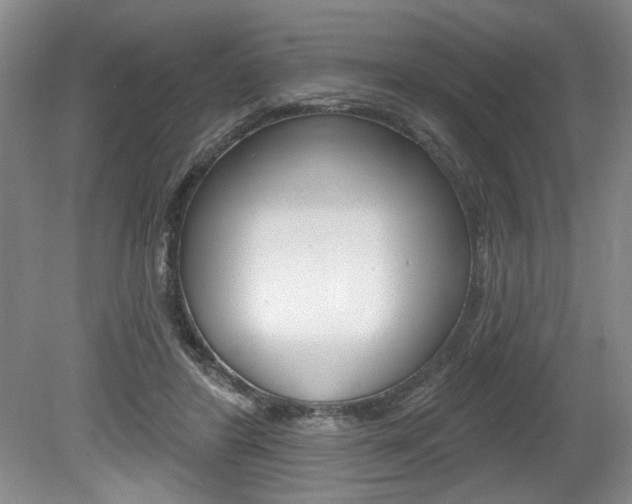 X0000080100404200612080934