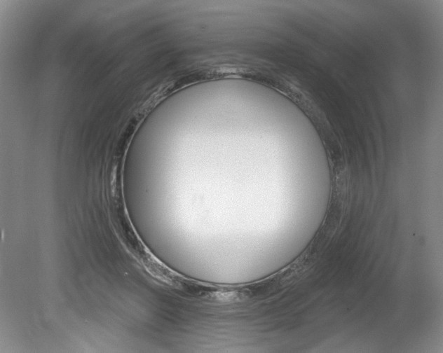 X0000080100406200612080934