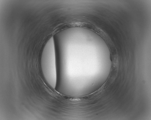 X0000080100409200612080934