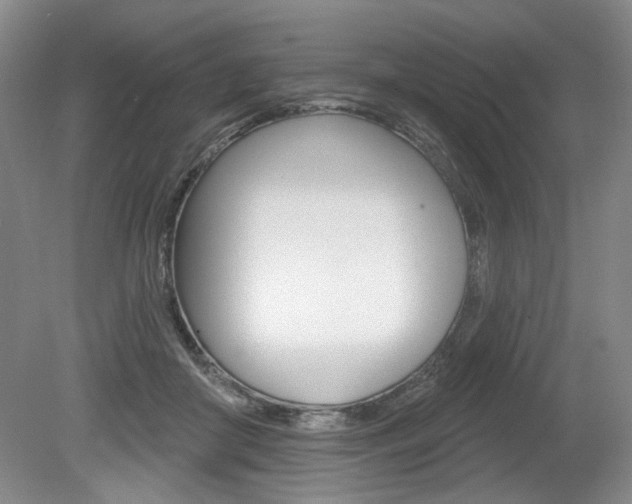 X0000080100410200612080934