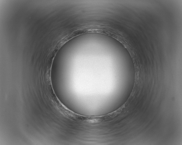 X0000080100411200612080934