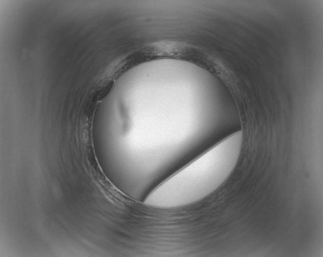 X0000080100413200612080934
