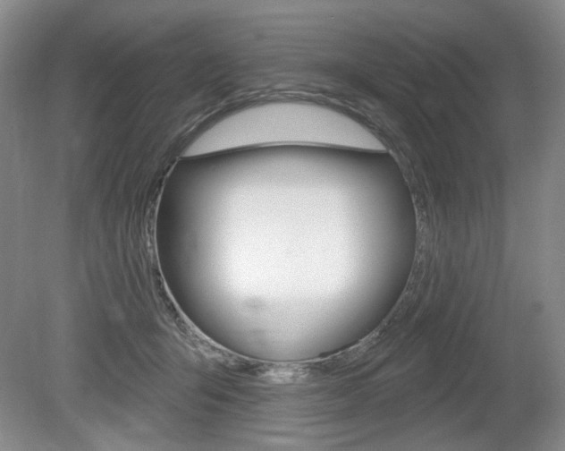 X0000080100415200612080934