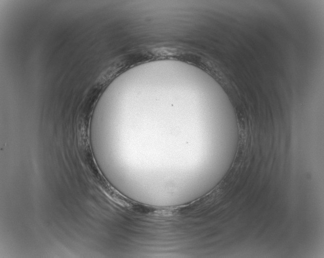 X0000080100418200612080934