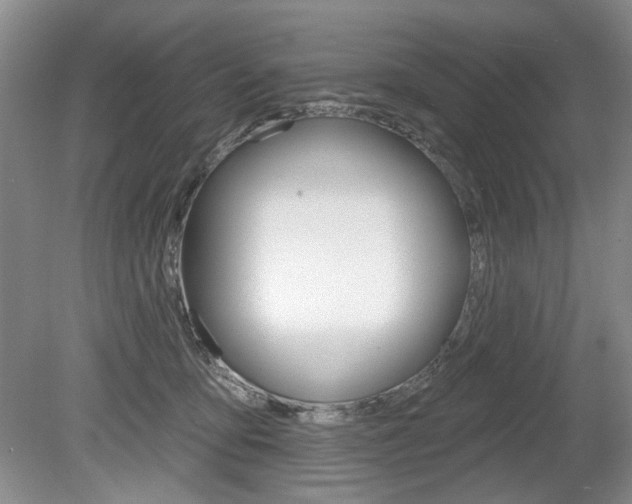 X0000080100419200612080934