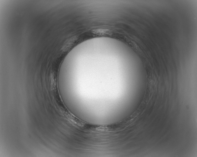 X0000080100420200612080934