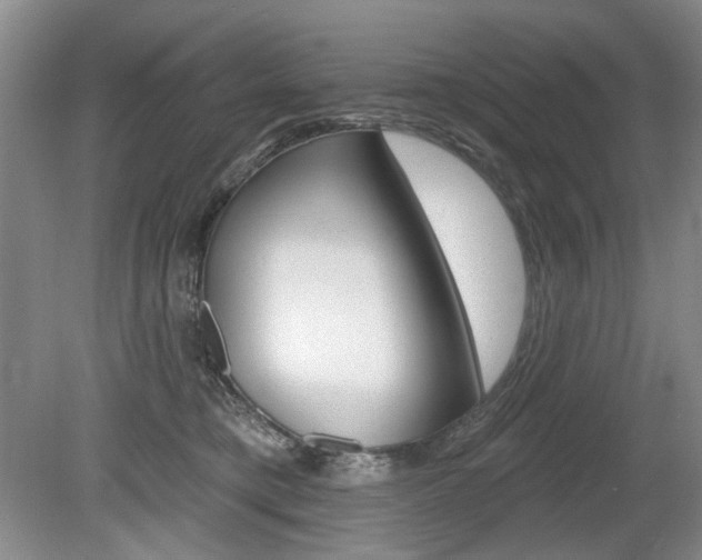 X0000080100421200612080934