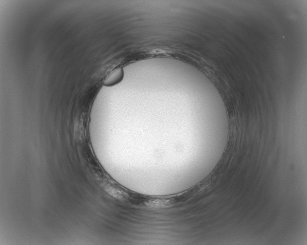 X0000080100422200612080934