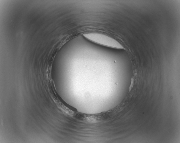 X0000080100423200612080934