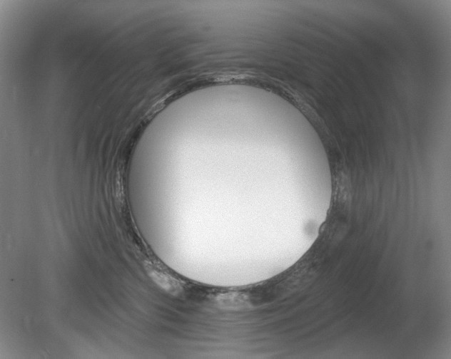 X0000080100426200612080934