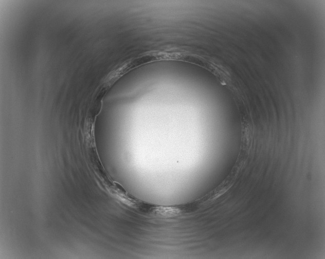 X0000080100429200612080934