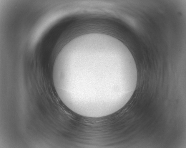 X0000080100431200612080934