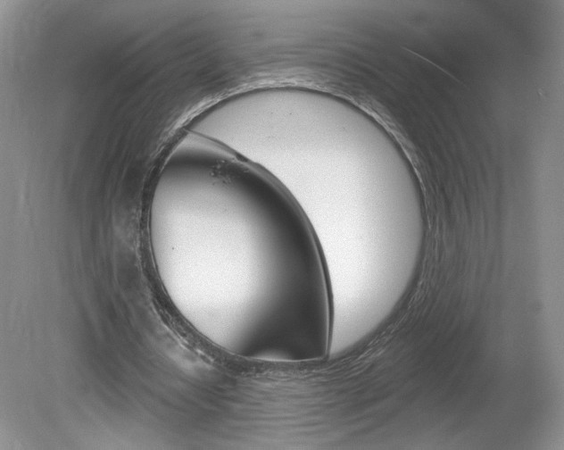 X0000080100434200612080933