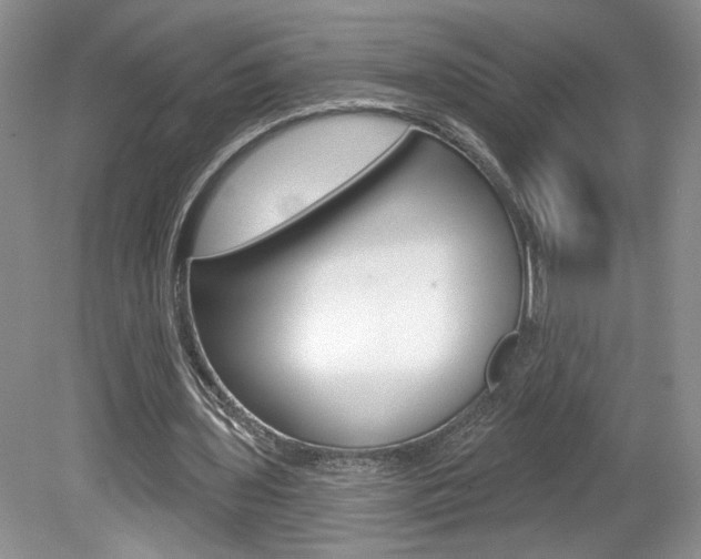 X0000080100435200612080933