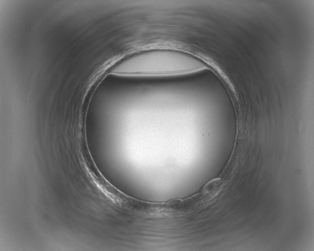 X0000080100437200612080933