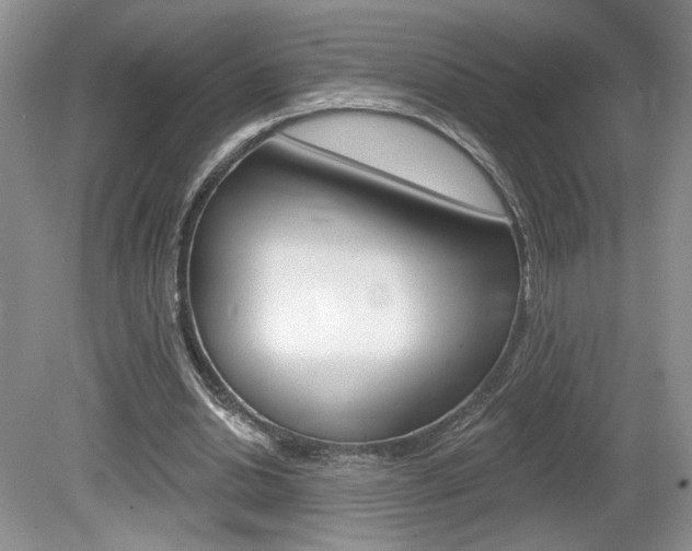 X0000080100438200612080933