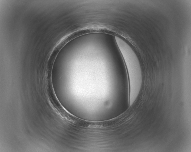 X0000080100440200612080933