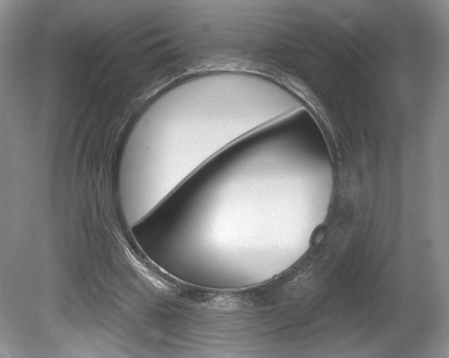 X0000080100441200612080933