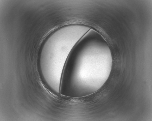 X0000080100442200612080933