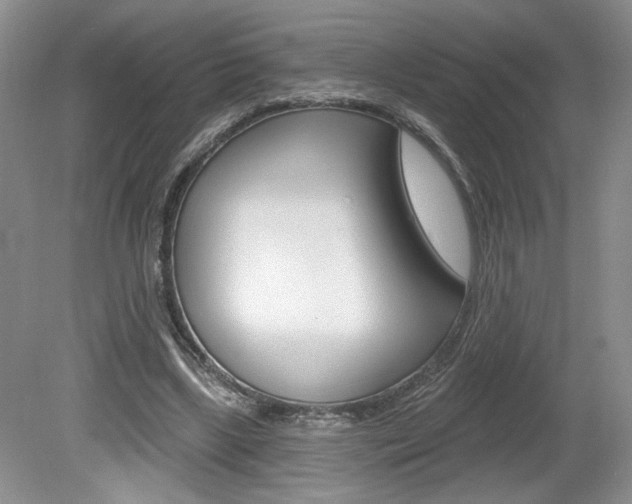 X0000080100443200612080933