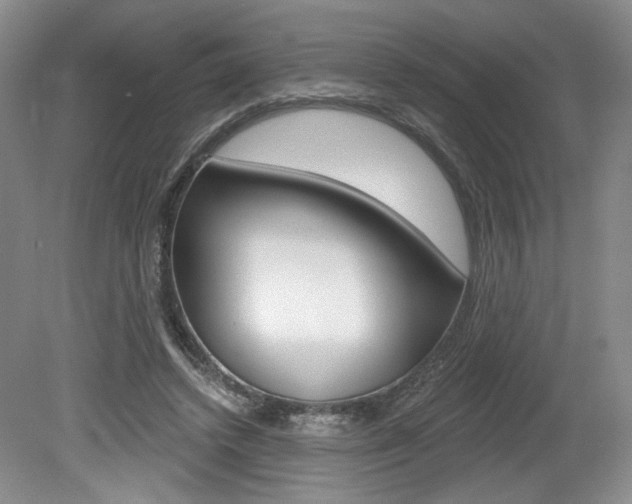X0000080100448200612080933